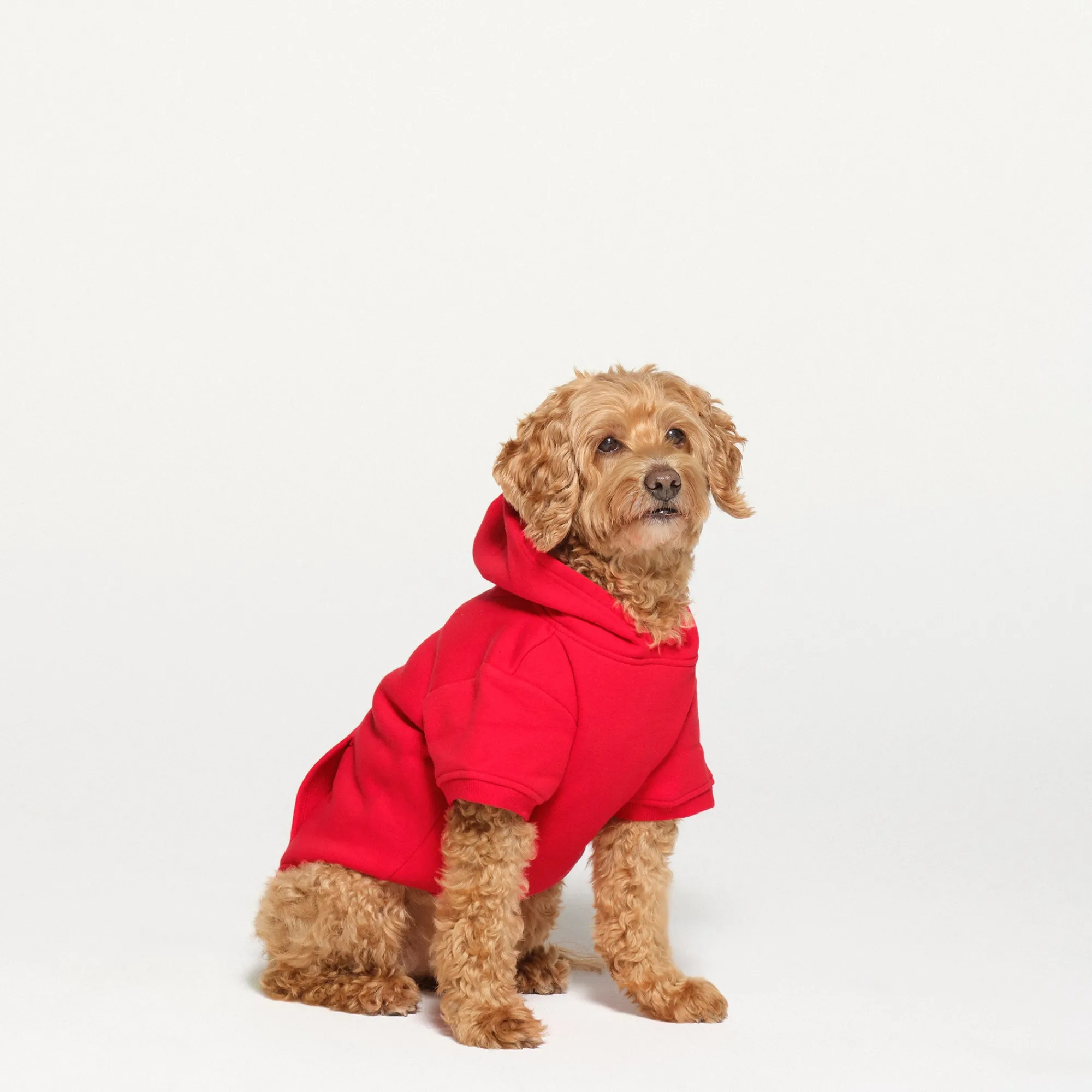 COTTON FLEECE PET HOODIE |-Skims Best