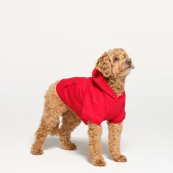 COTTON FLEECE PET HOODIE |-Skims Best